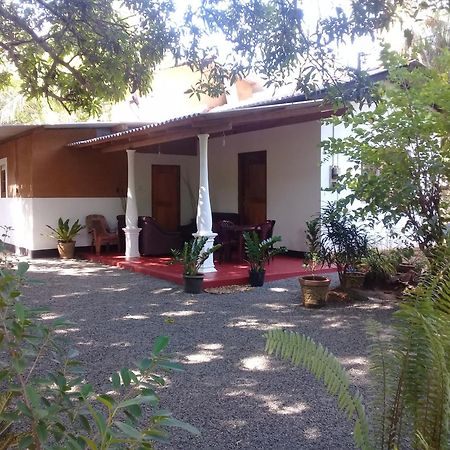 Tusker'S Paradise Safari Villa Udawalawe Exterior photo