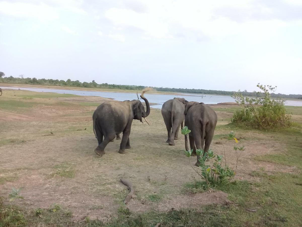 Tusker'S Paradise Safari Villa Udawalawe Exterior photo
