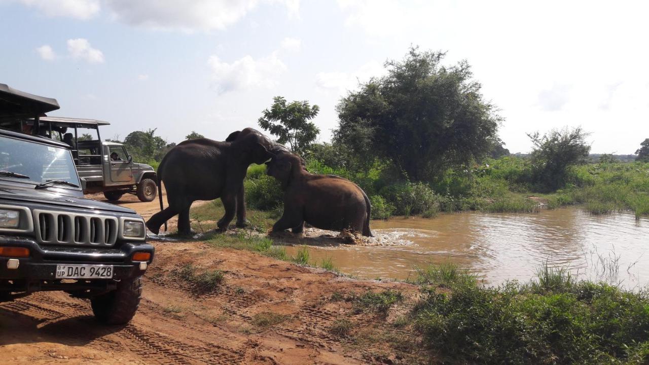Tusker'S Paradise Safari Villa Udawalawe Exterior photo