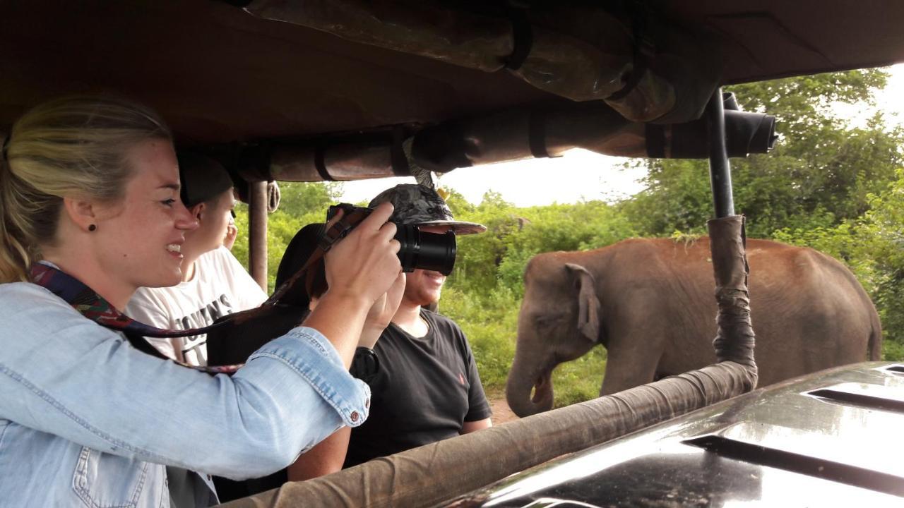 Tusker'S Paradise Safari Villa Udawalawe Exterior photo